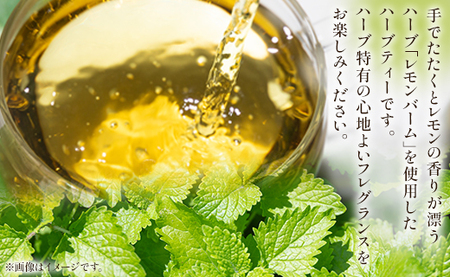 【ハーブ】さわやかレモンバームハーブティー 6パックセット gr-0158