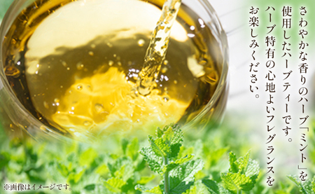 ハーブティー ミント 6パック 高知県産ハーブ gr-0159