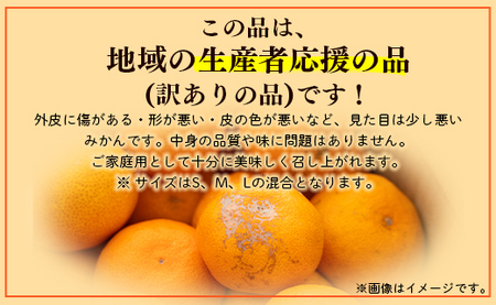 訳あり 山北みかん 約10kg(80~120個程度) みかん yk-0059