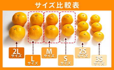 訳あり 山北みかん 約10kg(80~120個程度) みかん yk-0059