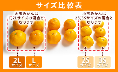 柑橘 山北みかん 大玉サイズ L・2L混合 約5kg 柑橘 yk-0061