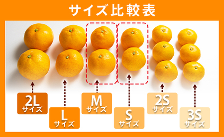 【特産フルーツ】山北みかん(秀品) 約5kg フルーツ yk-0062