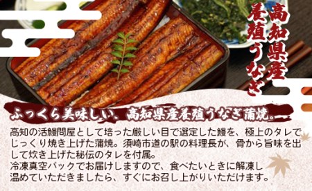 高知県産養殖うなぎ蒲焼 5尾(合計約1100g) うなぎ 鰻 ウナギ うなぎ 鰻 ウナギ うなぎ 鰻 ウナギ うなぎ 鰻 ウナギ うなぎ 鰻 ウナギ うなぎ 鰻 ウナギ うなぎ うなぎ うなぎ うなぎ うなぎ うなぎ ss-0036