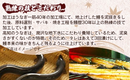 高知県産養殖うなぎ蒲焼 5尾(合計約1100g) うなぎ 鰻 ウナギ うなぎ 鰻 ウナギ うなぎ 鰻 ウナギ うなぎ 鰻 ウナギ うなぎ 鰻 ウナギ うなぎ 鰻 ウナギ うなぎ うなぎ うなぎ うなぎ うなぎ うなぎ ss-0036