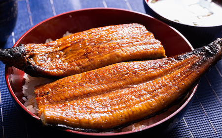 【 蒲焼き 】 うなぎ 20尾 計4400ｇ 鰻 ＜ 高知県 香南市 ＞ 蒲焼き ss-0038