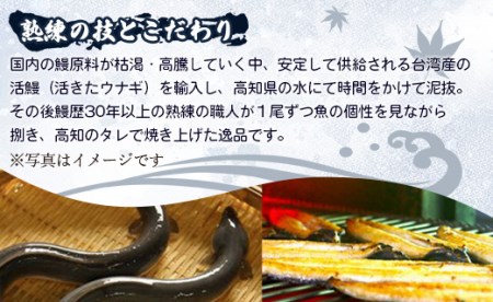 肉厚ふっくら香ばしい 台湾産養殖うなぎ蒲焼 120g～140g 3尾セッ卜 うなぎ 鰻 ウナギ うなぎ 鰻 ウナギ うなぎ 鰻 ウナギ うなぎ 鰻 ウナギ うなぎ 鰻 ウナギ うなぎ 鰻 ウナギ うなぎ うなぎ うなぎ うなぎ うなぎ うなぎ ss-0026