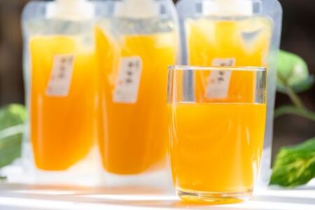 みかんジュース （合計24本） 【1月下旬より順次配送】 みかんジュース be-0075