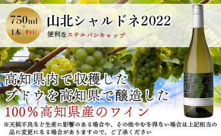 高知県産ワイン tosa cavatina 山北シャルドネ2022 (750ml×1本) - 白 辛口 お酒 さけ アルコール ボトル 瓶 ギフト 送料無料 高知県 香南市 冷蔵 iw-0004