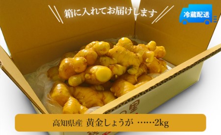 生姜一筋70年の生姜老舗問屋 黄金しょうが2kg - 生姜 生産量日本一 おかず お料理 しょうが 料理 飲み物 Xnb-0004