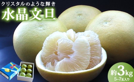 高知県香南市産 みずみずしい水晶文旦3kg 高知産 文旦 ぶんたん ブンタン 果物 フルーツ 柑橘 ku-0031