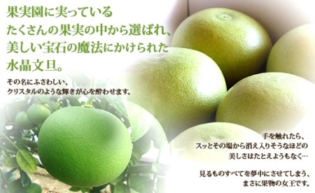 高知県香南市産 みずみずしい水晶文旦3kg 高知産 文旦 ぶんたん ブンタン 果物 フルーツ 柑橘 ku-0031
