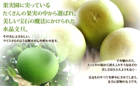 高知県香南市産 みずみずしい水晶文旦 5kg- 高知産 文旦 ぶんたん ブンタン 果物 フルーツ 柑橘 ku-0034