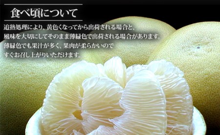 高知県香南市産 みずみずしい水晶文旦 5kg- 高知産 文旦 ぶんたん ブンタン 果物 フルーツ 柑橘 ku-0034