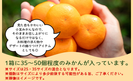 【果物】山北みかん 小玉サイズ(2S,3Sサイズ) 3kg 約35~50個入り【フルーツ 高知県 香南市 果物】 yk-0064