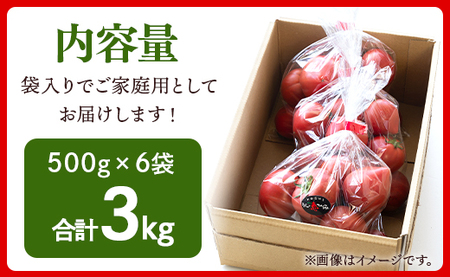 【先行受付】野菜ソムリエが育てた 家庭用 フルーツトマト 合計3kg(500g×6袋) 甘い 高知 うしの恵 小分け - 野菜 とまと 産地直送 料理 アレンジ サラダ 完熟 甘い あまい フレッシュ さっぱり 酸味 うしの恵 小分け おいしい 国産 高知県 香南市 mj-0022
