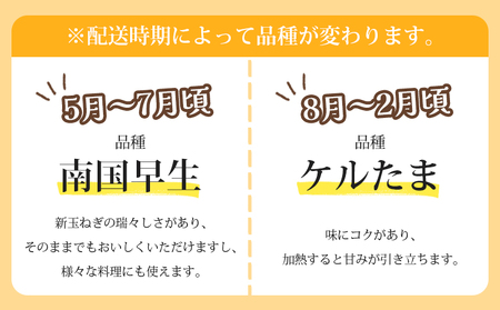 玉ねぎ 10kg 家庭用 先行予約 野菜 高知 大小混合 【玉ねぎ 玉葱 タマネギ 玉ねぎ 高知県 たまねぎ 玉ねぎ 玉ねぎ 玉ねぎ 玉ねぎ 玉ねぎ】 高知県 香南市 ke-0006