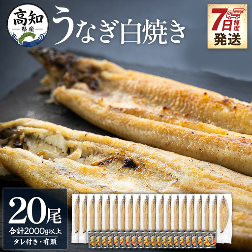 【数量限定】うなぎ 白焼き 2kg以上 20尾×100～120g - 蒲焼き タレ付き 国産 鰻 ウナギ 有頭 背開き つまみ ご飯のお供 老舗 土佐湾 吉川水産 高知県 香南市 冷凍 yw-0083 9,125円