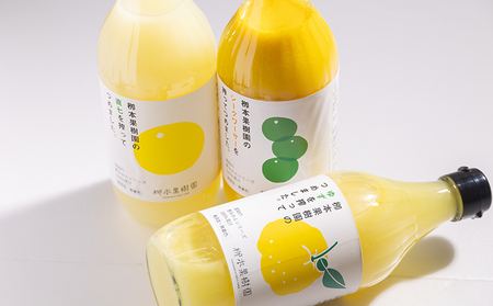 【先行予約】柑橘 調味料 柑橘酢 飲み比べ 3本セット(ゆず、シークワーサー、直七)  【お酢 酢 柑橘 柑橘酢 調味料 柑橘酢飲み比べ 高知県産ゆず シークワーサー】 yg-0032