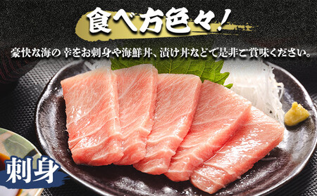 【7日程度で発送】 本まぐろ 養殖 中トロ 約500g 2冊 スピード 【まぐろ 中トロ 魚介 まぐろ 中トロ 海鮮 まぐろ 中トロ 惣菜 まぐろ 中トロ 冷凍 まぐろ 中トロ 人気 まぐろ 中トロ おすすめ】 oo-0002