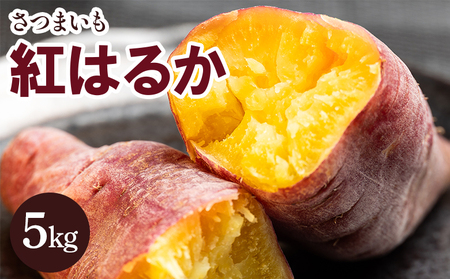 さつまいも 紅はるか5kg 【さつまいも 野菜 さつまいも やさい さつまいも 芋 さつまいも 旬 さつまいも 国産 さつまいも おすすめ】 gr-0132