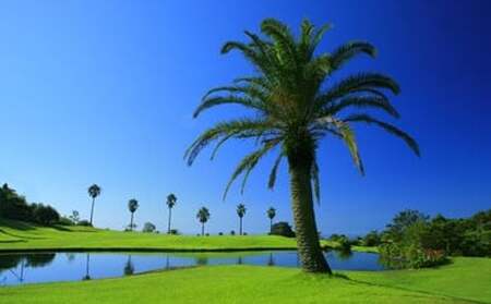 ゴルフ場利用券 Kochi 黒潮カントリークラブ 30,000円分 - ゴルフ場 チケット プレー券 ラウンド コース 趣味 体験 スポーツ アウトドア 黒潮観光開発株式会社 高知県 香南市 ki-0005