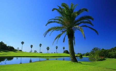 ゴルフプレー券 Kochi 黒潮カントリークラブ ゴルフ場利用券 120,000円分 - ゴルフ場 チケット プレー券 ラウンド コース 趣味 体験 スポーツ アウトドア 黒潮観光開発株式会社 高知県 香南市 ki-0008