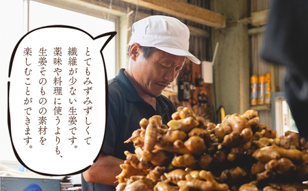 生姜 2kg【生姜 べっちゃく 高知県 香南市】 bc-0014