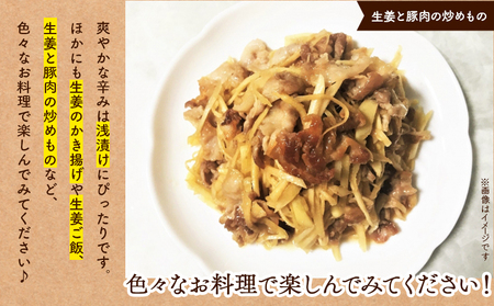 生姜 2kg【生姜 べっちゃく 高知県 香南市】 bc-0014