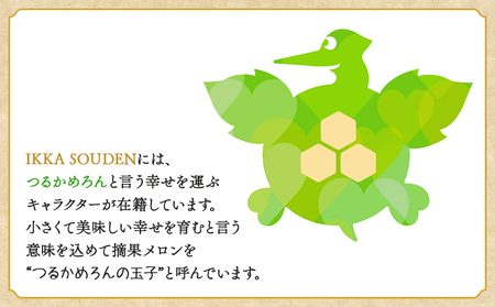メロン つるかめろんの玉子(摘果メロン) 2kg 約16玉 - マスクメロン めろん フルーツ くだもの 果物 おやつ おつまみ アレンジ 料理 お漬物 お漬け物 炒め物 天ぷら 子メロン 小さい 産地直送 篤農 tn-0015