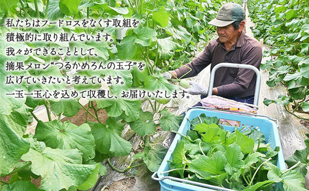 メロン つるかめろんの玉子(摘果メロン) 2kg 約16玉 - マスクメロン めろん フルーツ くだもの 果物 おやつ おつまみ アレンジ 料理 お漬物 お漬け物 炒め物 天ぷら 子メロン 小さい 産地直送 篤農 tn-0015