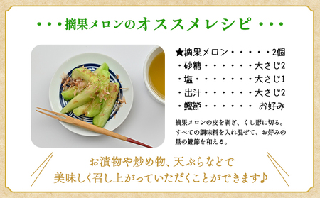 メロン つるかめろんの玉子(摘果メロン) 4.5kg 約36玉 - マスクメロン めろん フルーツ くだもの 果物 おやつ おつまみ アレンジ 料理 お漬物 お漬け物 炒め物 天ぷら 子メロン 小さい 産地直送 篤農 tn-0016