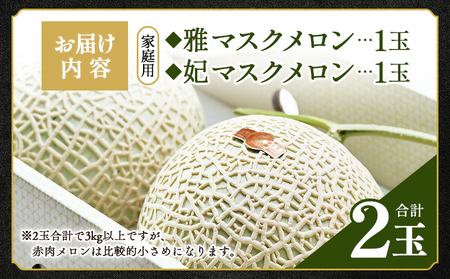 高知県産 マスクメロン ２玉 家庭用【メロン 高級 めろん 雅&妃 マスクメロン 青肉メロン 赤肉メロン】香南市 tn-0018