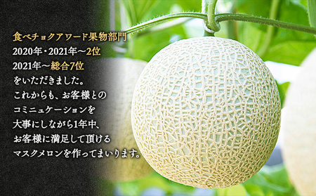 【先行受付】高知県産 マスクメロン ２玉【メロン 高級メロン 上級品メロン 雅&妃メロン マスクメロン 青肉メロン 赤肉メロン】 tn-0027