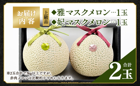 【先行受付】高知県産 マスクメロン ２玉【メロン 高級メロン 上級品メロン 雅&妃メロン マスクメロン 青肉メロン 赤肉メロン】 tn-0027