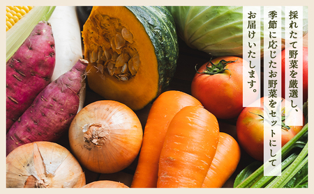 【野菜 定期便6回】野菜BOX 7種類前後【野菜定期便 6回野菜定期便 旬の野菜をお届け 産地直送 野菜定期便 野菜詰め合わせ】 Wyr-0038