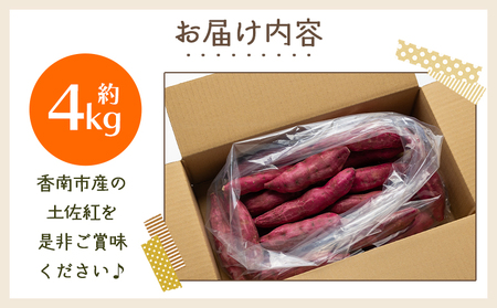 さつまいも（土佐紅）4kg 2025年出荷分【さつまいも 野菜 さつまいも やさい さつまいも 芋 さつまいも 旬 さつまいも 国産 さつまいも おすすめ】 yr-0044