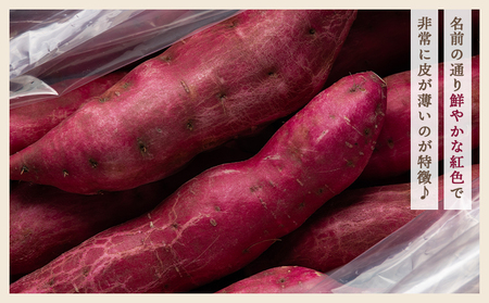 さつまいも（土佐紅）10kg 2025年出荷分【さつまいも 野菜 さつまいも やさい さつまいも 芋 さつまいも 旬 さつまいも 国産 さつまいも おすすめ】 yr-0046