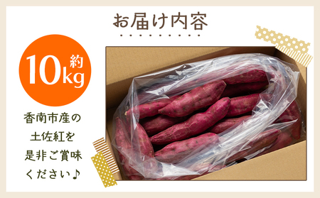 さつまいも（土佐紅）10kg 2025年出荷分【さつまいも 野菜 さつまいも やさい さつまいも 芋 さつまいも 旬 さつまいも 国産 さつまいも おすすめ】 yr-0046