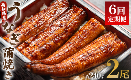 【定期便】うなぎ蒲焼き | うなぎ 定期便 国産 Wun-0025