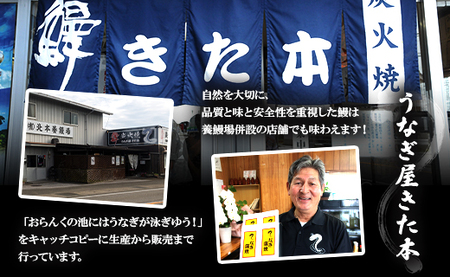 うなぎ蒲焼き 120g 3尾 定期便 6回 うなぎ Wun-0029