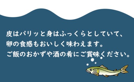 田渕さんの子持ち鮎の炭火塩焼き B 274 高知県香南市 ふるさと納税サイト ふるなび