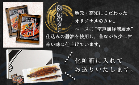 【国産】定期便 うなぎ 蒲焼き 約200g 2尾 3回 【 うなぎ 定期便 国産 うなぎ 定期便 かばやき うなぎ 定期便 惣菜 うなぎ 定期便 】 Wfb-0050