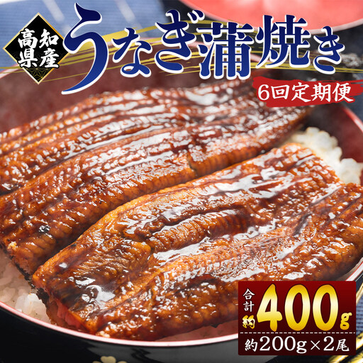【大サイズ】うなぎ蒲焼き | うなぎ 定期便 国産 うなぎ 定期便 うなぎ 定期便 Wfb-0051