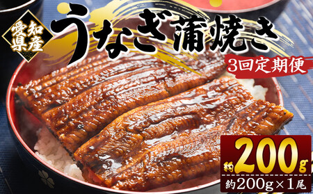 【国産】定期便 うなぎ 蒲焼き 約200g １尾 3回 【 うなぎ 定期便 国産 うなぎ 定期便 かばやき うなぎ 定期便 惣菜 うなぎ 定期便 】 Wfb-0070
