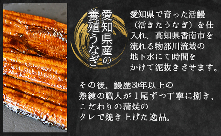 【定期便】うなぎ蒲焼き | うなぎ 定期便 国産 魚介 Wfb-0074