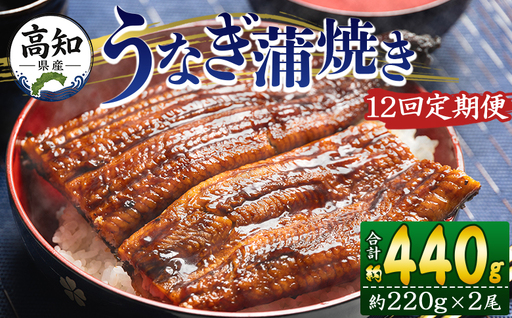 国産 うなぎ 定期便 12回 約220g 2尾 蒲焼き 高知県産 養殖 魚介 国産 海鮮 魚 かばやき 鰻 ウナギ 惣菜 おかず お手軽 加工品 加工食品 冷凍 Wfb-0064