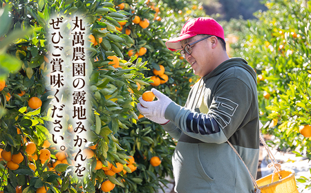 訳あり 温州みかん 5kg みかん 傷み補償分付き フルーツ 果物 くだもの 柑橘 丸萬農園 mn-0012