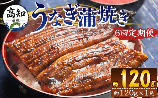 国産 うなぎ 定期便 100g～120g １尾 6回 蒲焼き 高知県産 養殖 魚介 国産 海鮮 魚 かばやき 鰻 ウナギ 惣菜 おかず お手軽 加工品 加工食品 冷凍 Wfb-0035