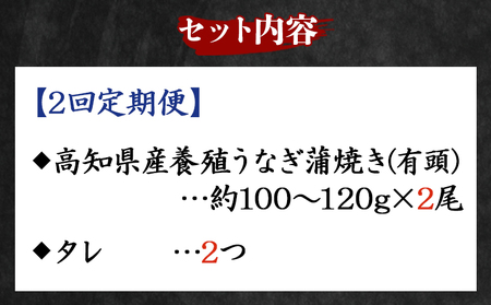 国産 うなぎ 定期便 100g～120g 2尾 2回 ウナギ Wfb-0037