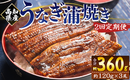 うなぎ蒲焼き 3尾 定期便 2回 うなぎ Wfb-0041